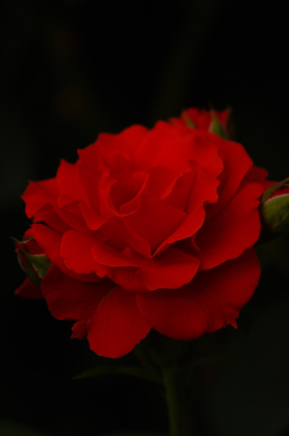 Nature shots